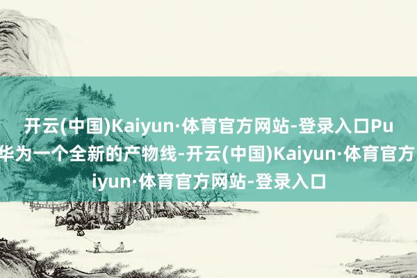 开云(中国)Kaiyun·体育官方网站-登录入口Pura大致会成为华为一个全新的产物线-开云(中国)Kaiyun·体育官方网站-登录入口