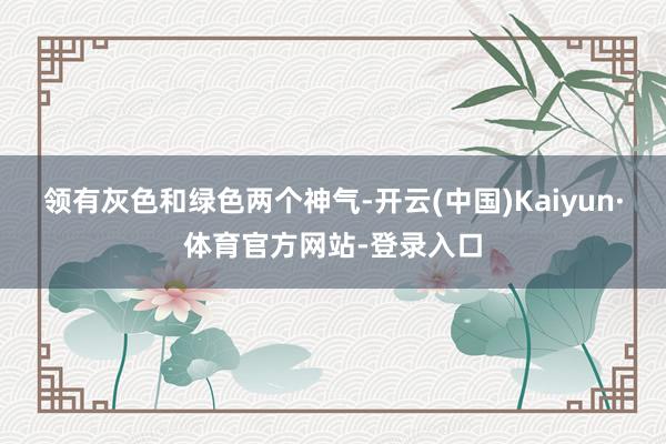 领有灰色和绿色两个神气-开云(中国)Kaiyun·体育官方网站-登录入口